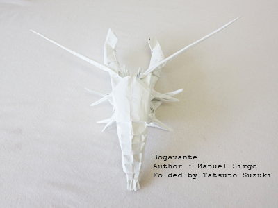 Photo Origami Bogabante, Author : Manuel Sirgo, Folded by Tatsuto Suzuki